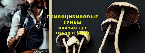 альфа пвп Нефтегорск