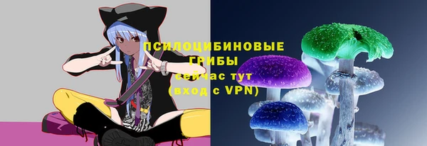 альфа пвп Нефтегорск
