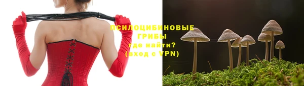 мдма Новозыбков