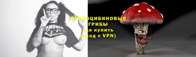 ГАЛЛЮЦИНОГЕННЫЕ ГРИБЫ Валуйки