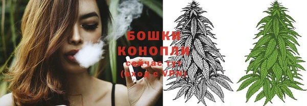 Альфа ПВП Нея